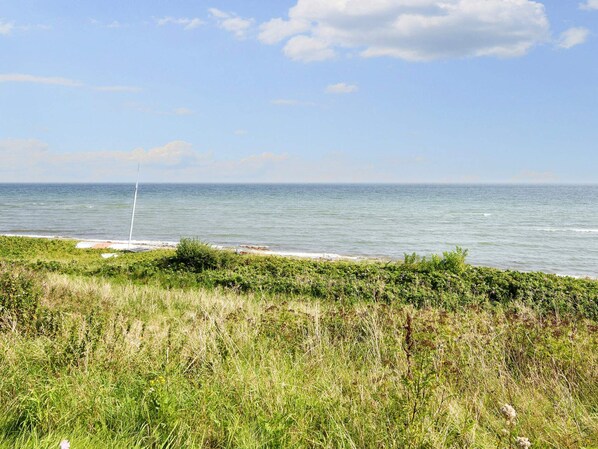 A coastal landscape with a grassy foreground and a view of the sea.