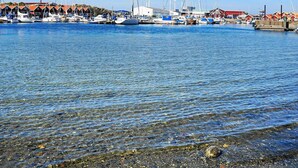 Ein Yachthafen mit vertäuten Booten, klarem Wasser und Gebäuden im Hintergrund.