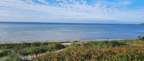 A coastal landscape with a clear sky, a sandy beach, and dense vegetation in the foreground.