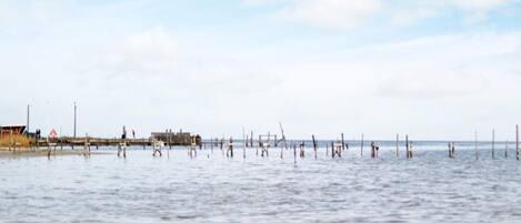 Nhà | Quang cảnh mặt nước