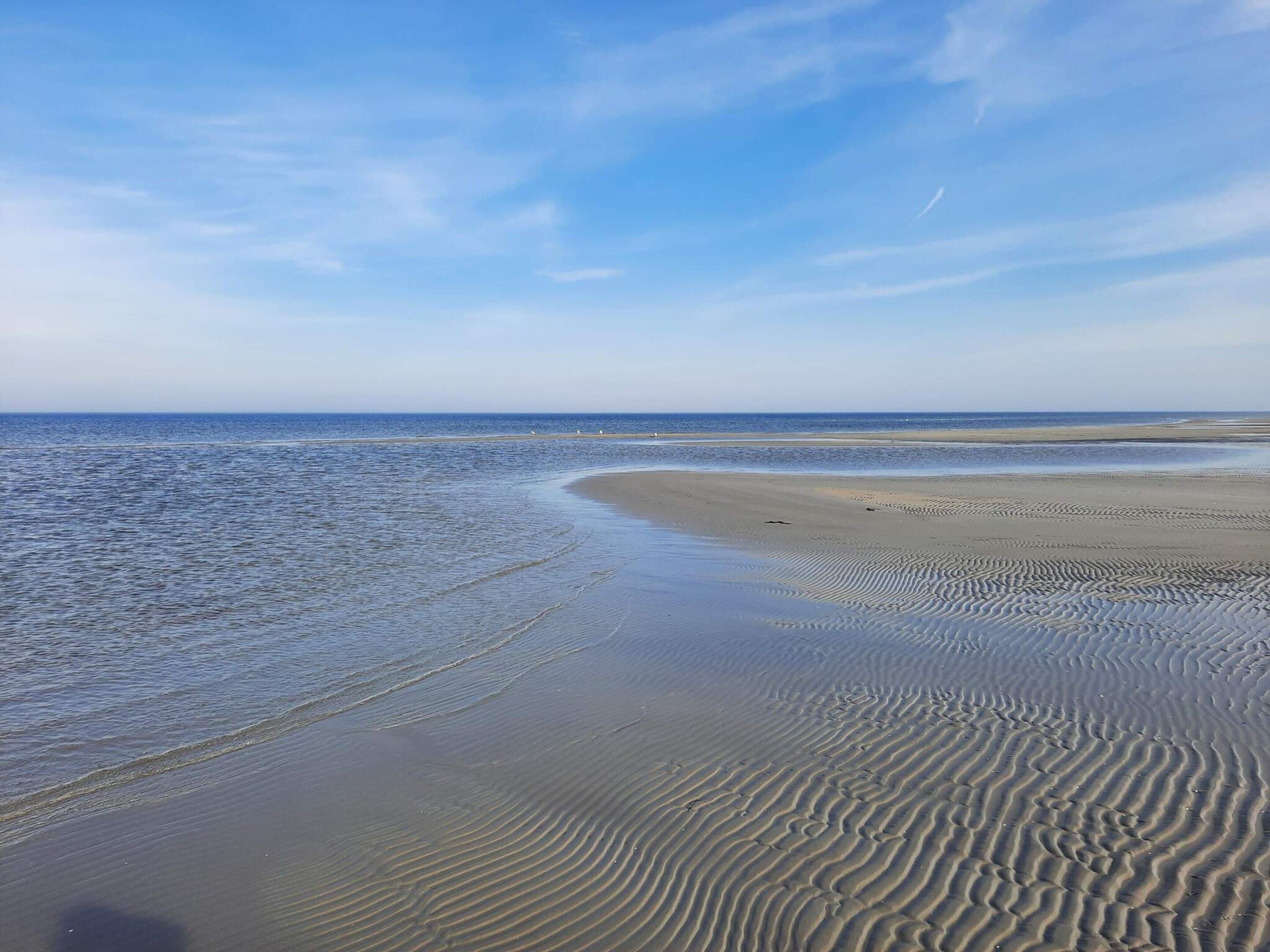En strand med blide bølger og en klar himmel.