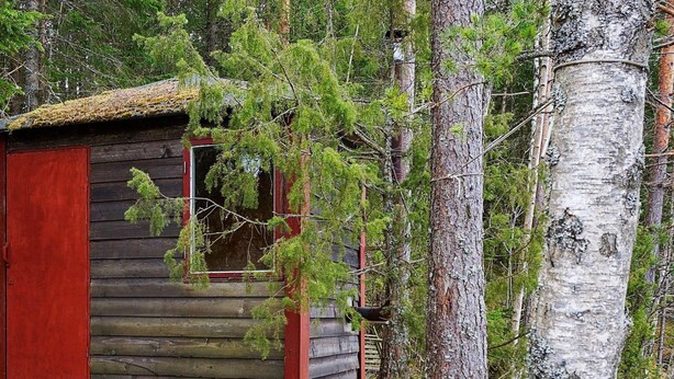 A rustic cabin with a red door and a small porch, surrounded by dense forest and birch trees. - 6 Person Holiday Home in Arjang (Årjäng)