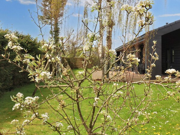 A garden with flowering trees and a modern building in the background.