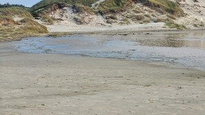 Una playa con arena, agua y dunas cubiertas de hierba.
