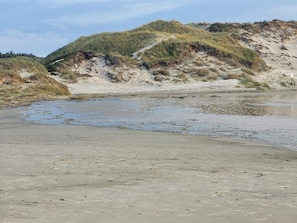 En strand med sand, vatten och gräsklädda sanddyner.
