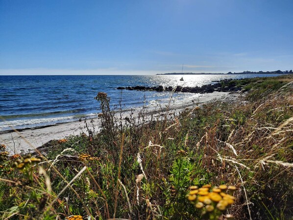 A coastal landscape with a sandy beach, rocky outcrops, and dense vegetation.