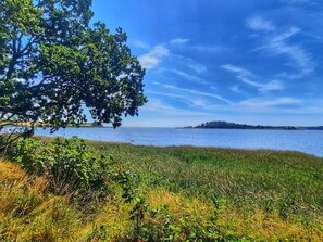 Een natuurlandschap met water, grasvelden en een boom.