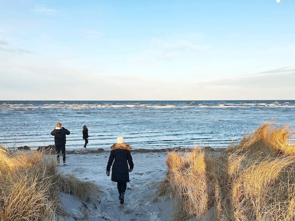 Un sentier qui mĂšne Ă la plage, oĂč lâon voit des gens se promener.