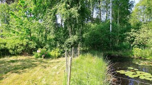 Un paysage naturel avec un étang, entouré d’une végétation luxuriante et d’arbres.