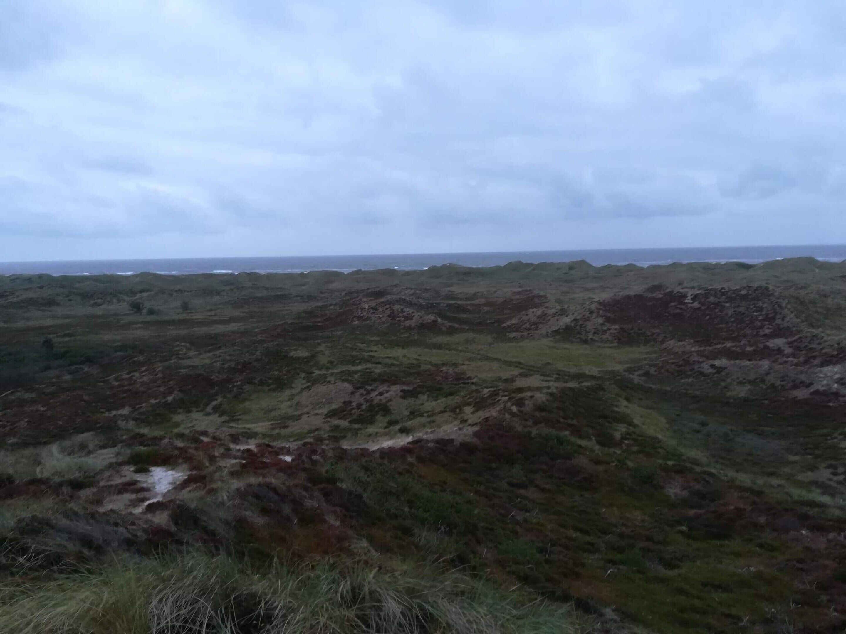 A rugged landscape with rolling hills and sparse vegetation.