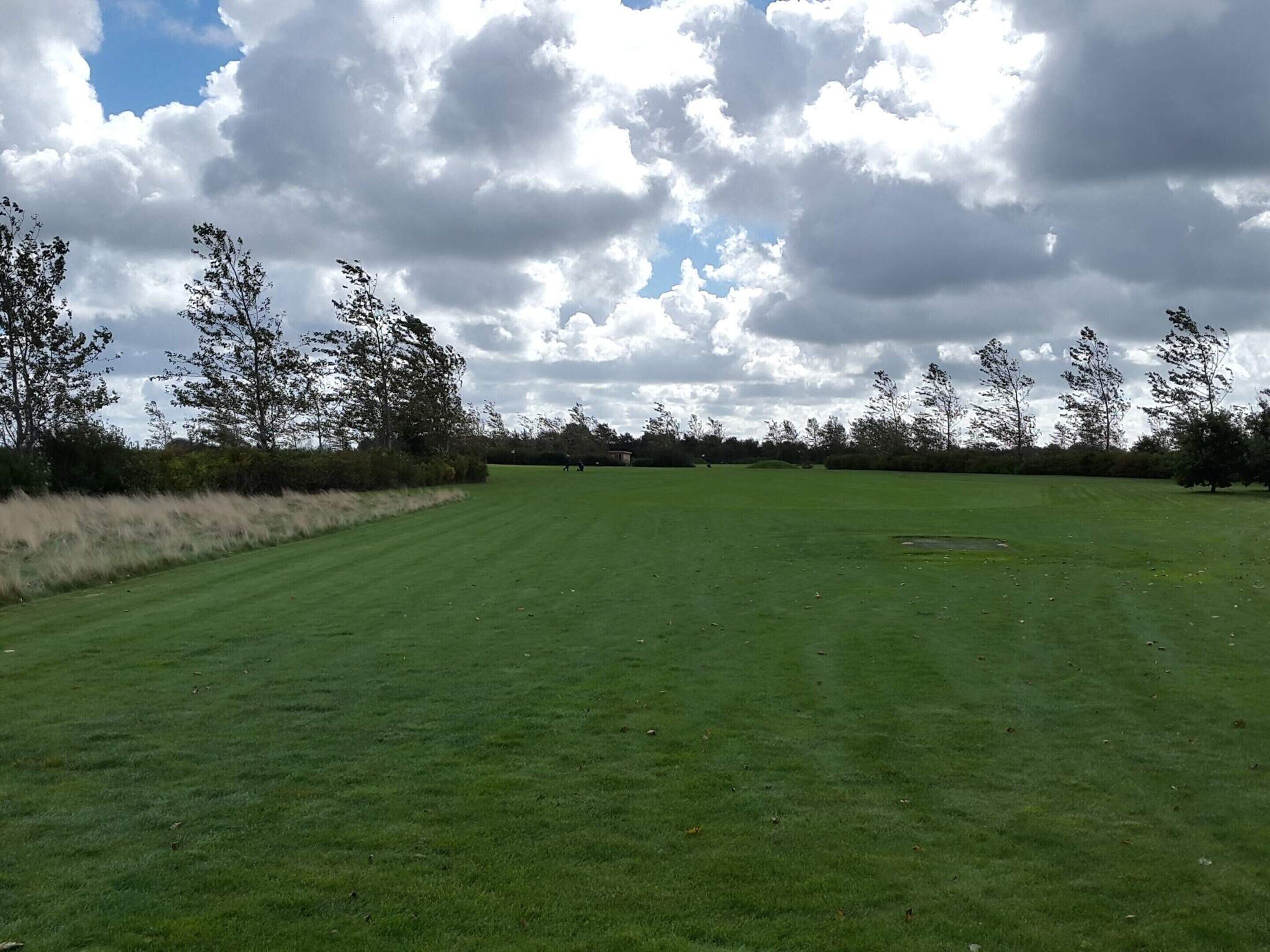 Een uitgestrekt, open veld met gras, bomen aan de zijkanten en een gedeeltelijk bewolkte lucht.