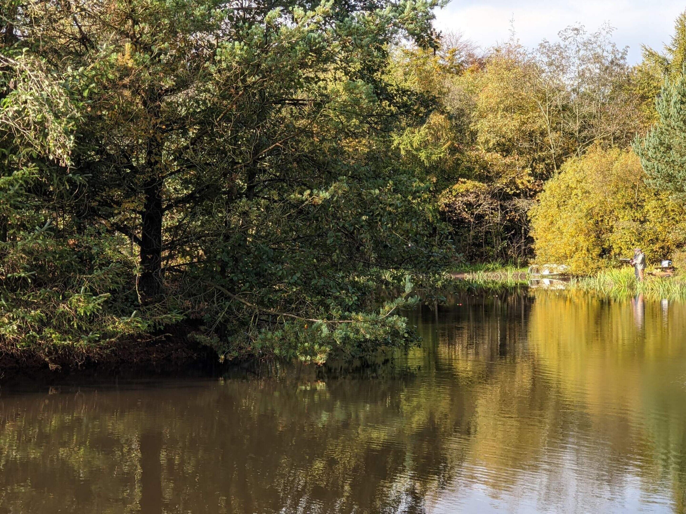 Un fiume tranquillo con fitta vegetazione sulle rive, un cielo sereno e una persona che pesca.
