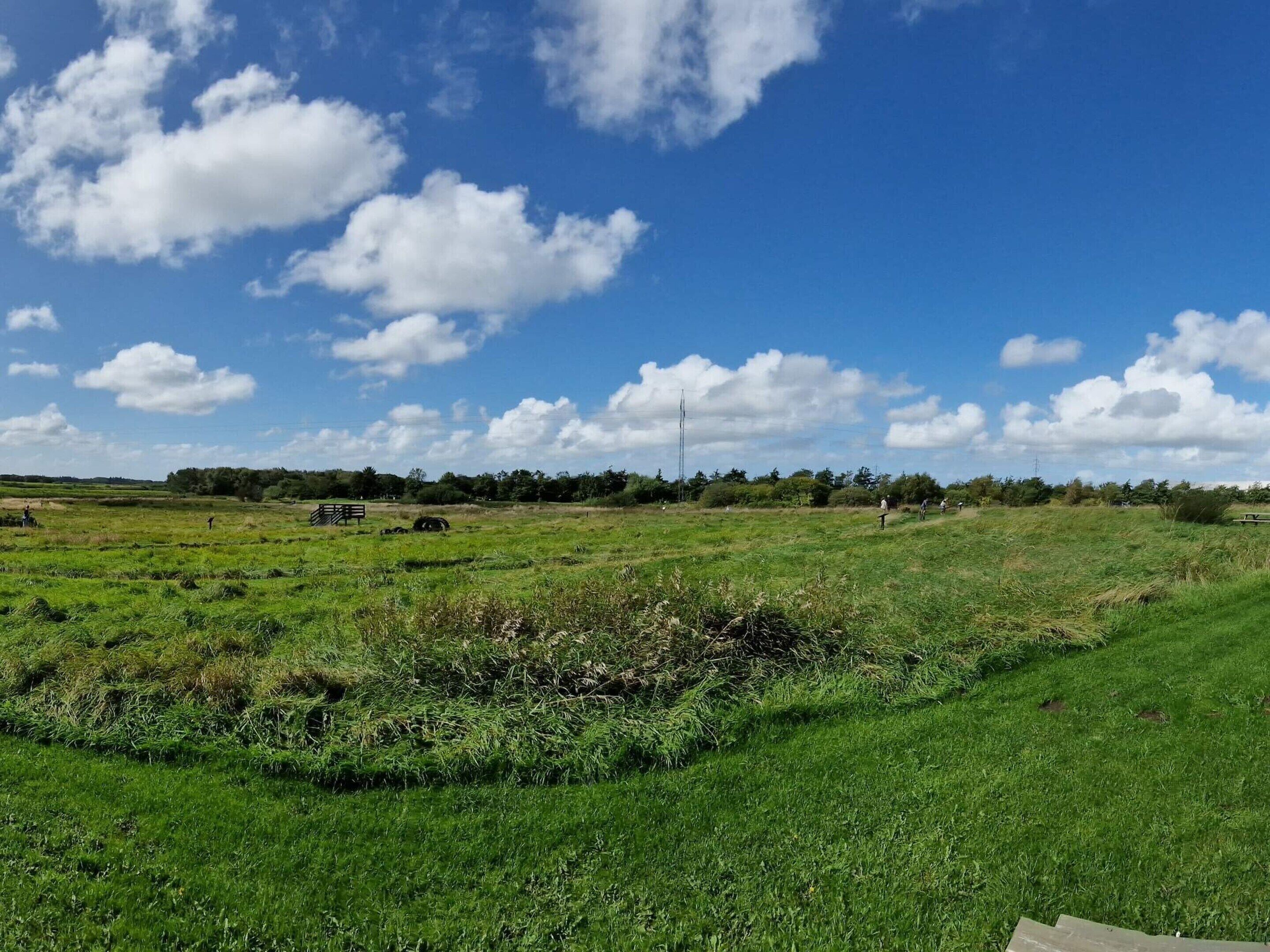 A wide-open field with a clear sky and scattered clouds.
