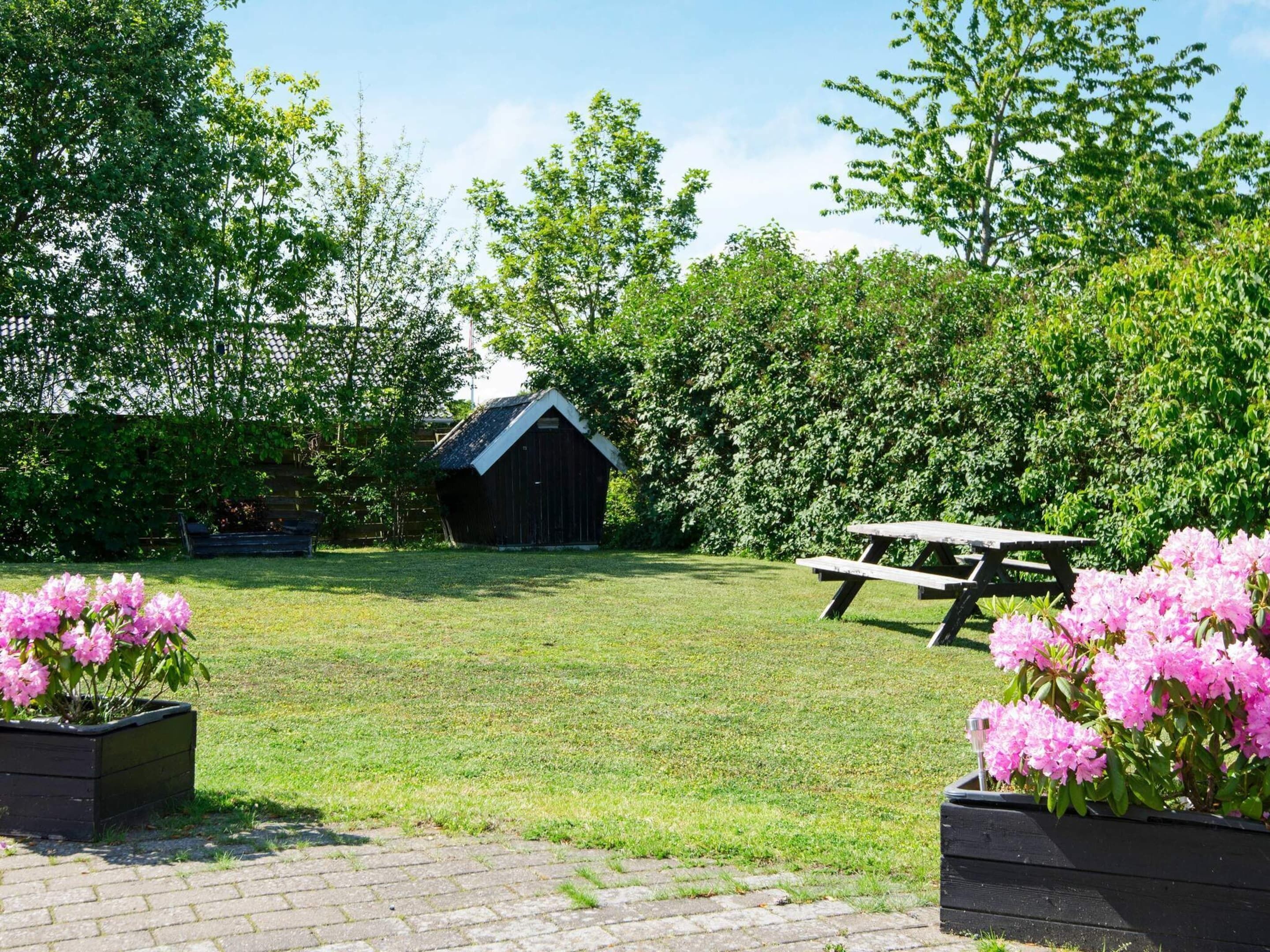 House | Outdoor dining