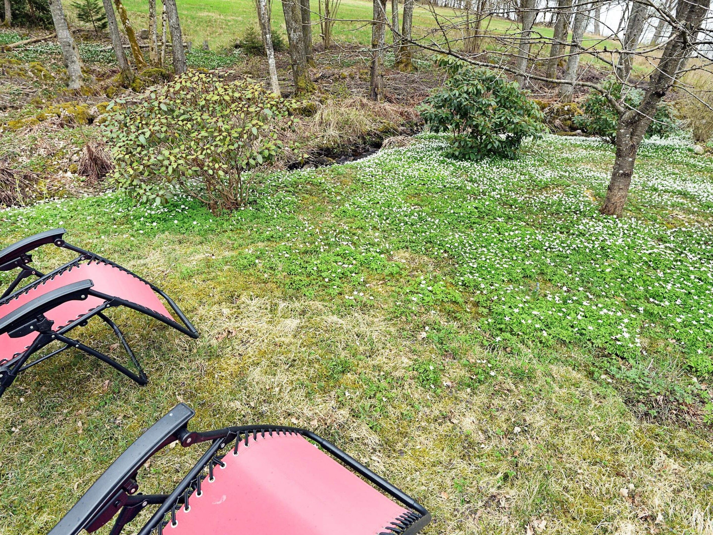 Un jardin avec une table et des chaises en métal rouge, entouré de pelouse et d’arbres.