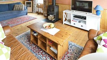 A cozy living room with a sofa, a coffee table with a bowl of fruit, a television on a white stand, a fireplace, and a patterned rug.