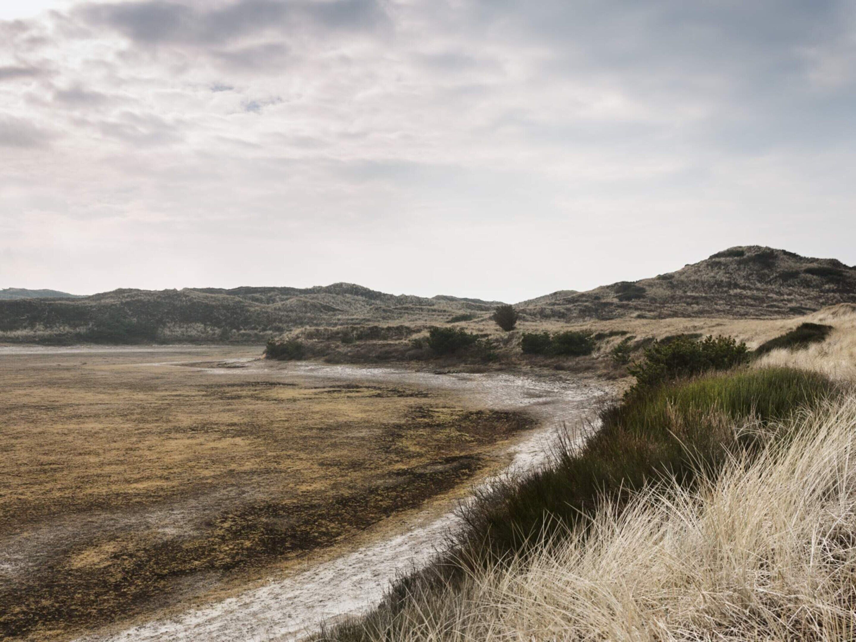 A coastal landscape with a sandy beach, grassy dunes, and distant hills.