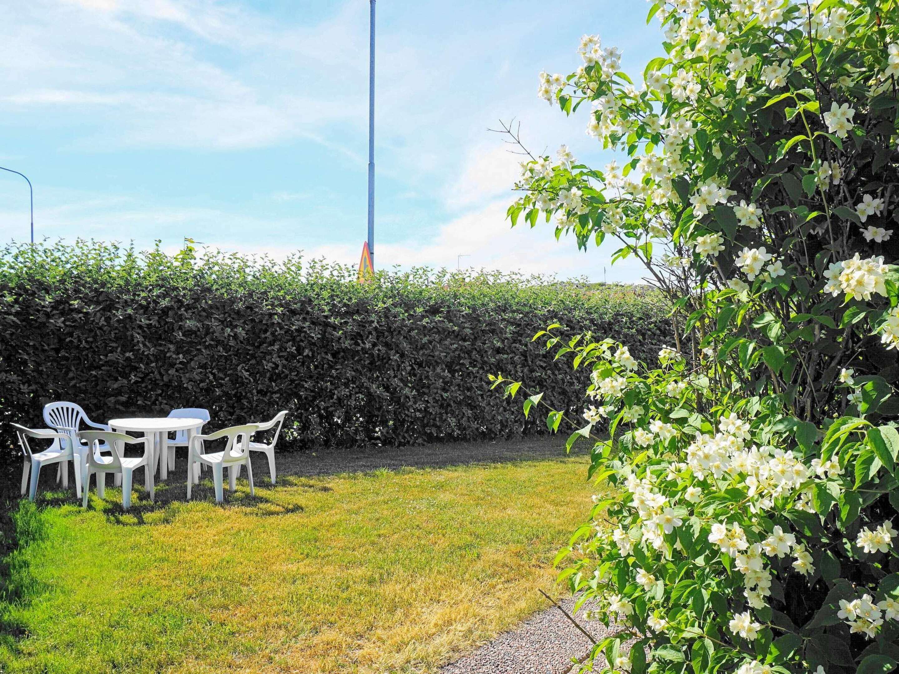 House | View from property