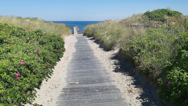 A pathway leading to the beach, flanked by green vegetation and a clear blue sky. - 9 Person Holiday Home in Jerup (Jerup)