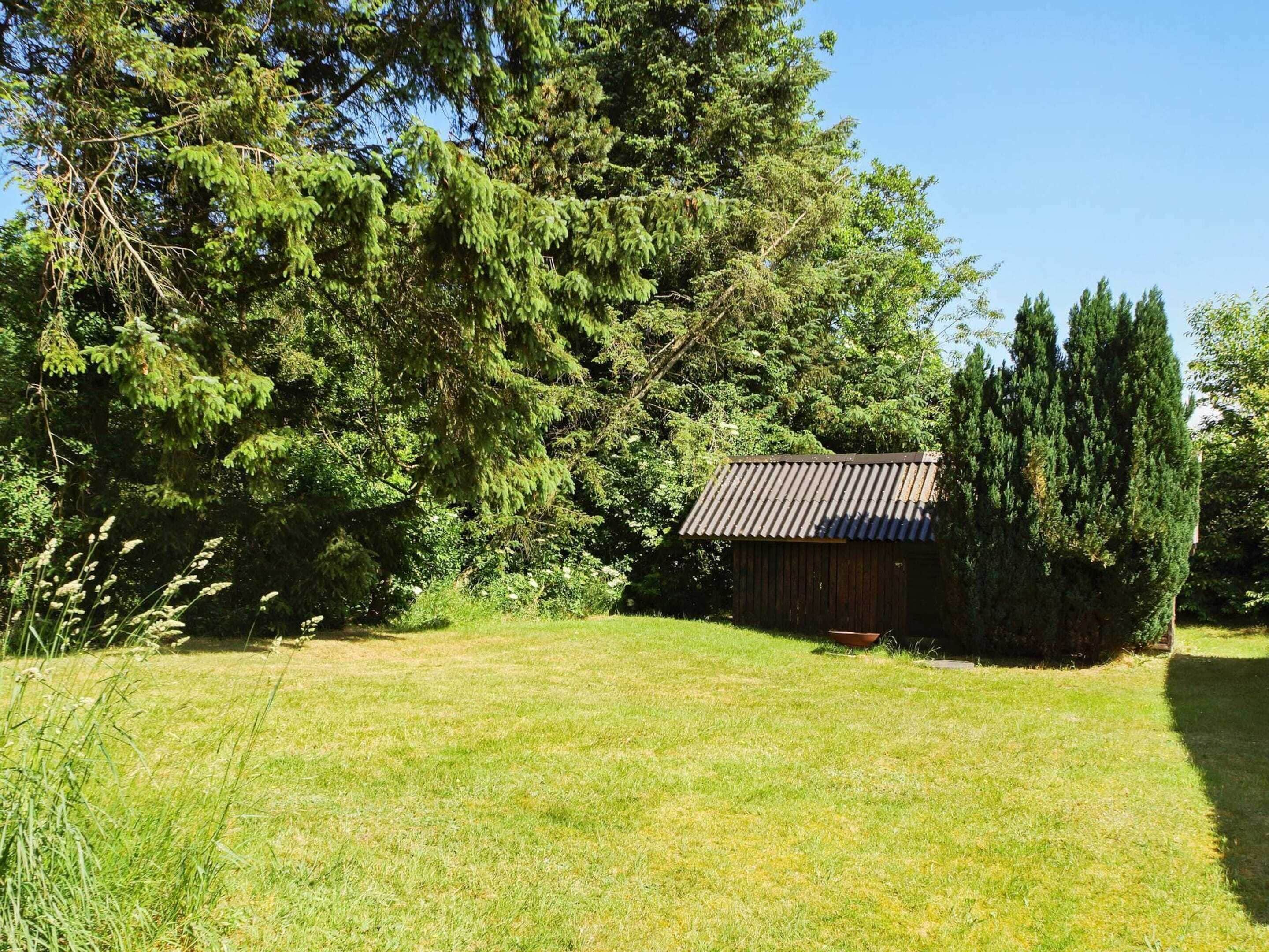 House | Property grounds