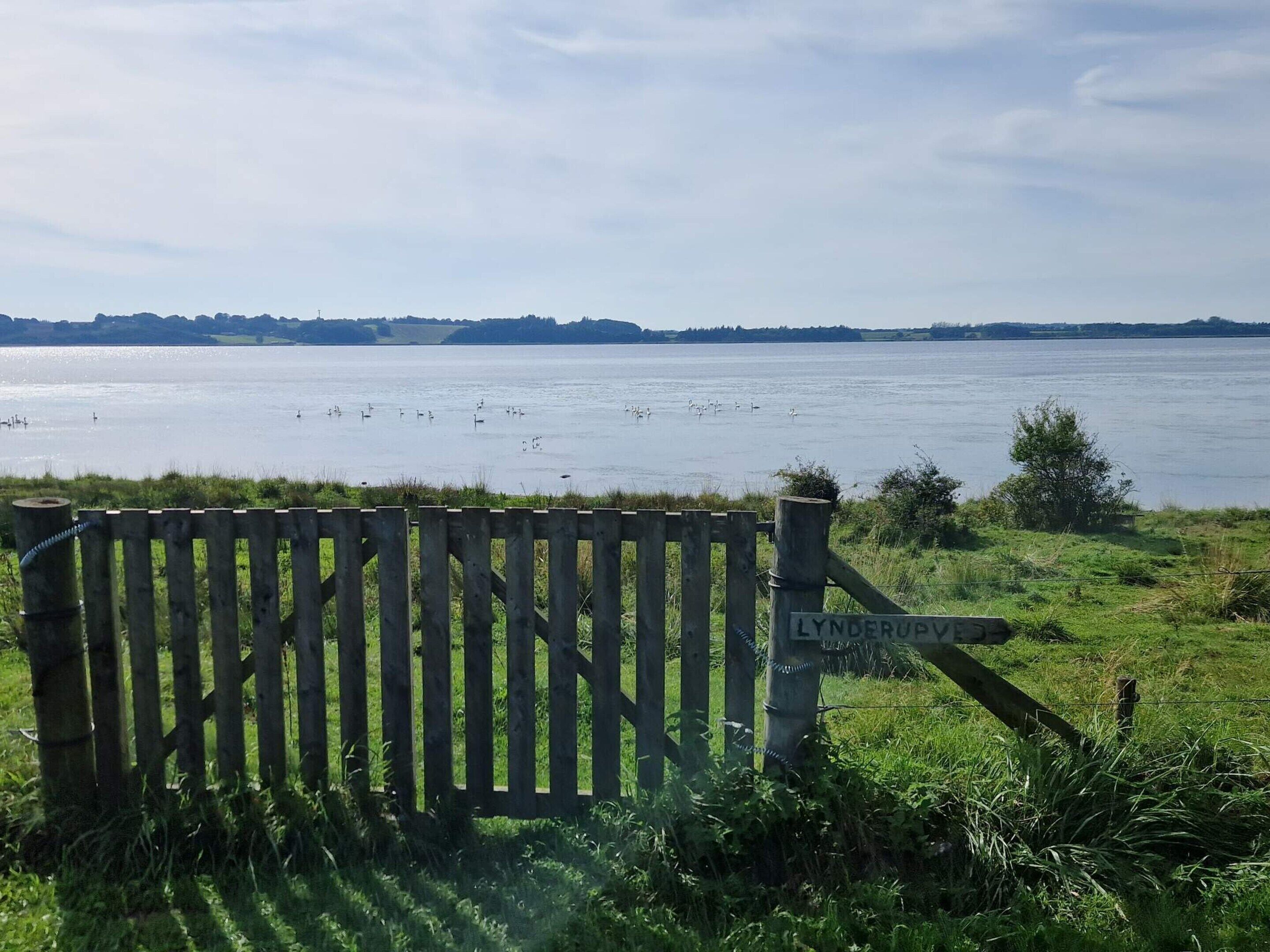 Una verja de madera con un cartel que dice 'Lyndhurst' que da a una masa de agua con patos.