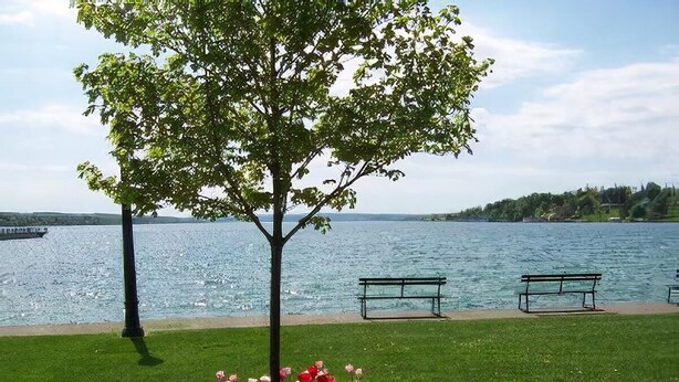 A park with a lake, benches, and a tree with flowers. - Deer Run Lodging House (Skaneateles)