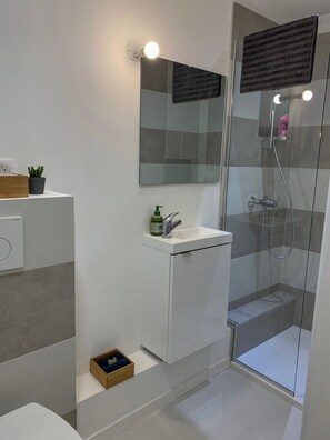 Shower, hair dryer, towels