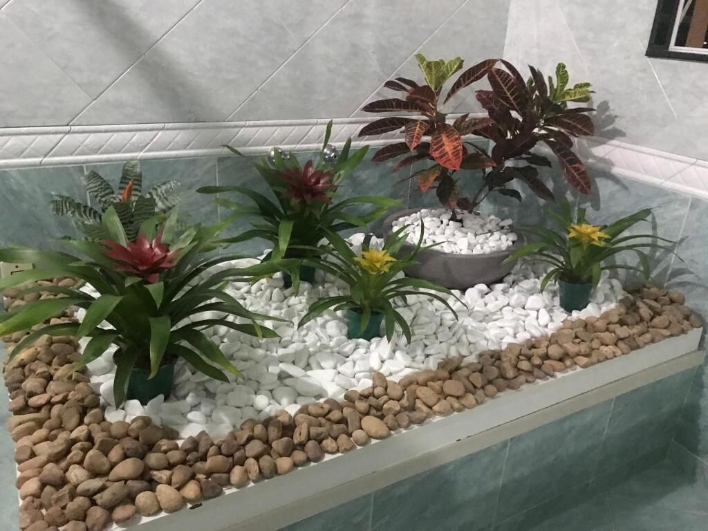 Shower, towels, soap, shampoo