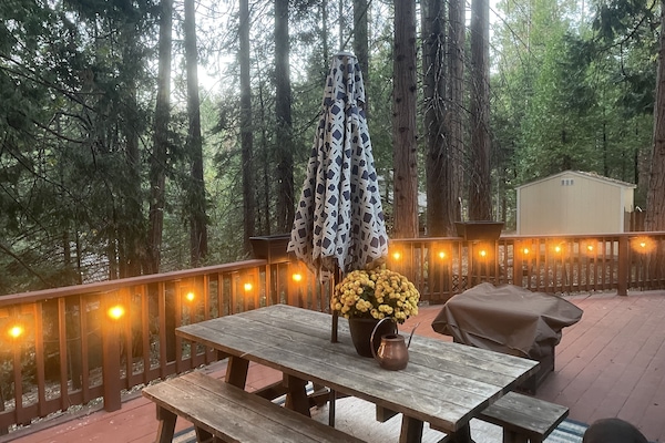 Servei de restauració a l'aire lliure