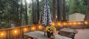 Kid & Pet Friendly Beautiful Fully Functioning Cabin Sleeps 8