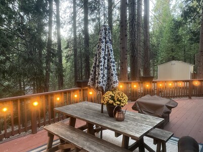 Kid & Pet Friendly Beautiful Fully Functioning Cabin Sleeps 8