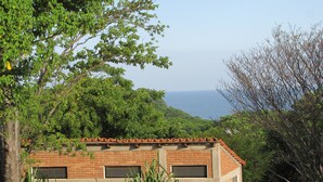 Room, 1 Bedroom, Smoking, Terrace | Property grounds - . Double Bed, Queen Size, Small Kitchen, Terrace, Wi-fi- air Condition. Quiet (San Pedro Pochutla)