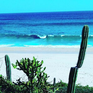 Beach - . Double Bed, Queen Size, Small Kitchen, Terrace, Wi-fi- air Condition. Quiet (San Pedro Pochutla)