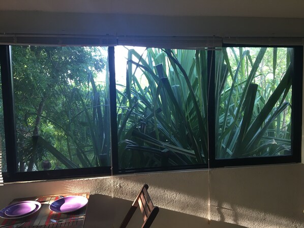 Interior - . Double Bed, Queen Size, Small Kitchen, Terrace, Wi-fi- air Condition. Quiet (San Pedro Pochutla)