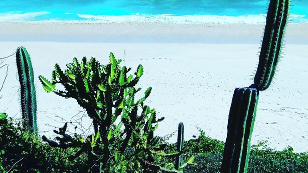 Room, 1 Bedroom, Smoking, Terrace | Beach - . Double Bed, Queen Size, Small Kitchen, Terrace, Wi-fi- air Condition. Quiet (San Pedro Pochutla)
