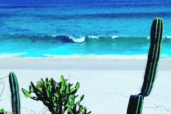Room, 1 Bedroom, Smoking, Terrace | Beach