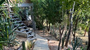 Property grounds - . Double Bed, Queen Size, Small Kitchen, Terrace, Wi-fi- air Condition. Quiet (San Pedro Pochutla)