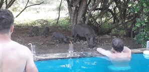 Nhà, 5 phòng ngủ, hút thuốc, hồ bơi riêng | Hồ bơi | Hồ bơi ngoài trời 