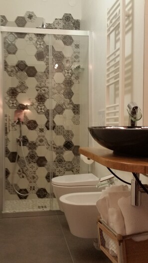 Shower, hair dryer, bidet, towels