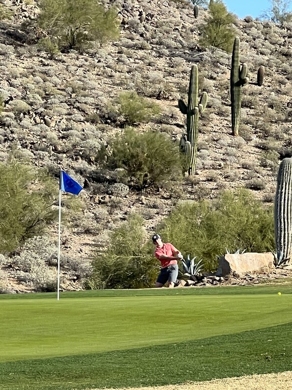 A golf course with a flagstick, cacti, and a golfer in a red shirt. - Golfer's Paradise!!!-On Johnson Ranch Golf Course with pool! (San Tan Valley)