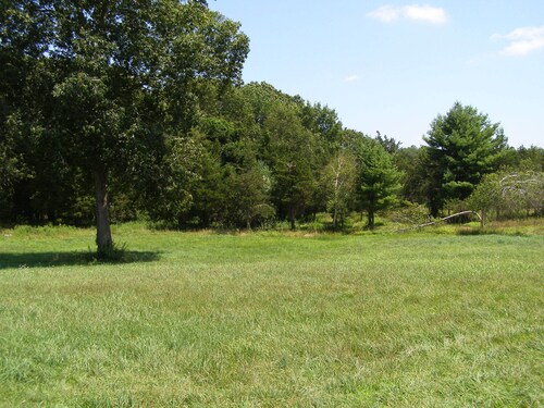 PRIVATE LAND ....OPEN SPACE 30 ACRES with POND, Very Basic