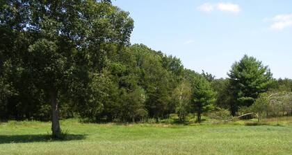 PRIVATE LAND ....OPEN SPACE 30 ACRES with POND, Very Basic