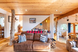 智能電視、壁爐、DVD 播放機、書籍