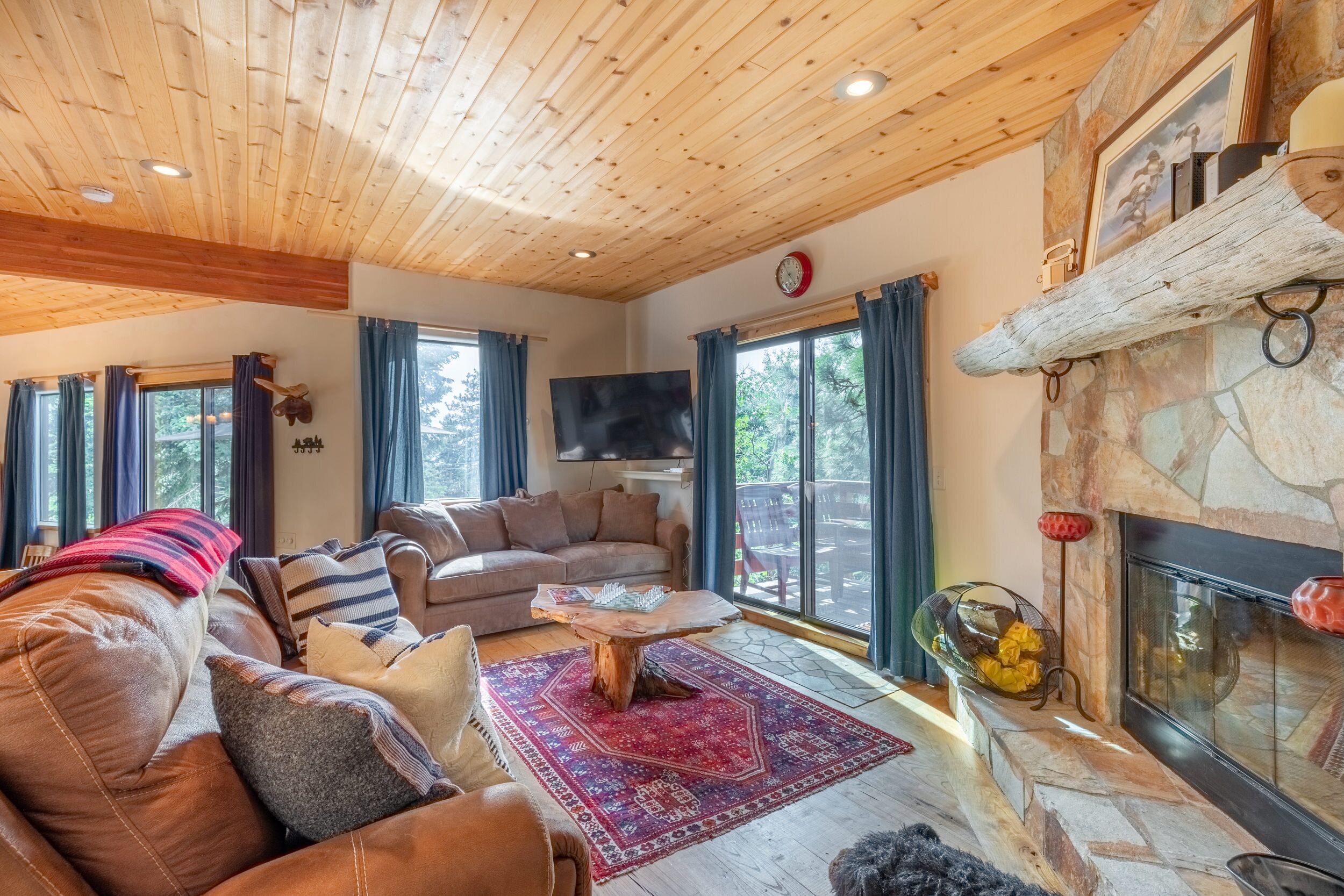 Smart TV, lareira, DVD player, livros