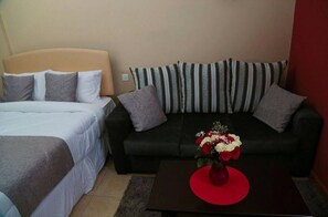 1 habitación 