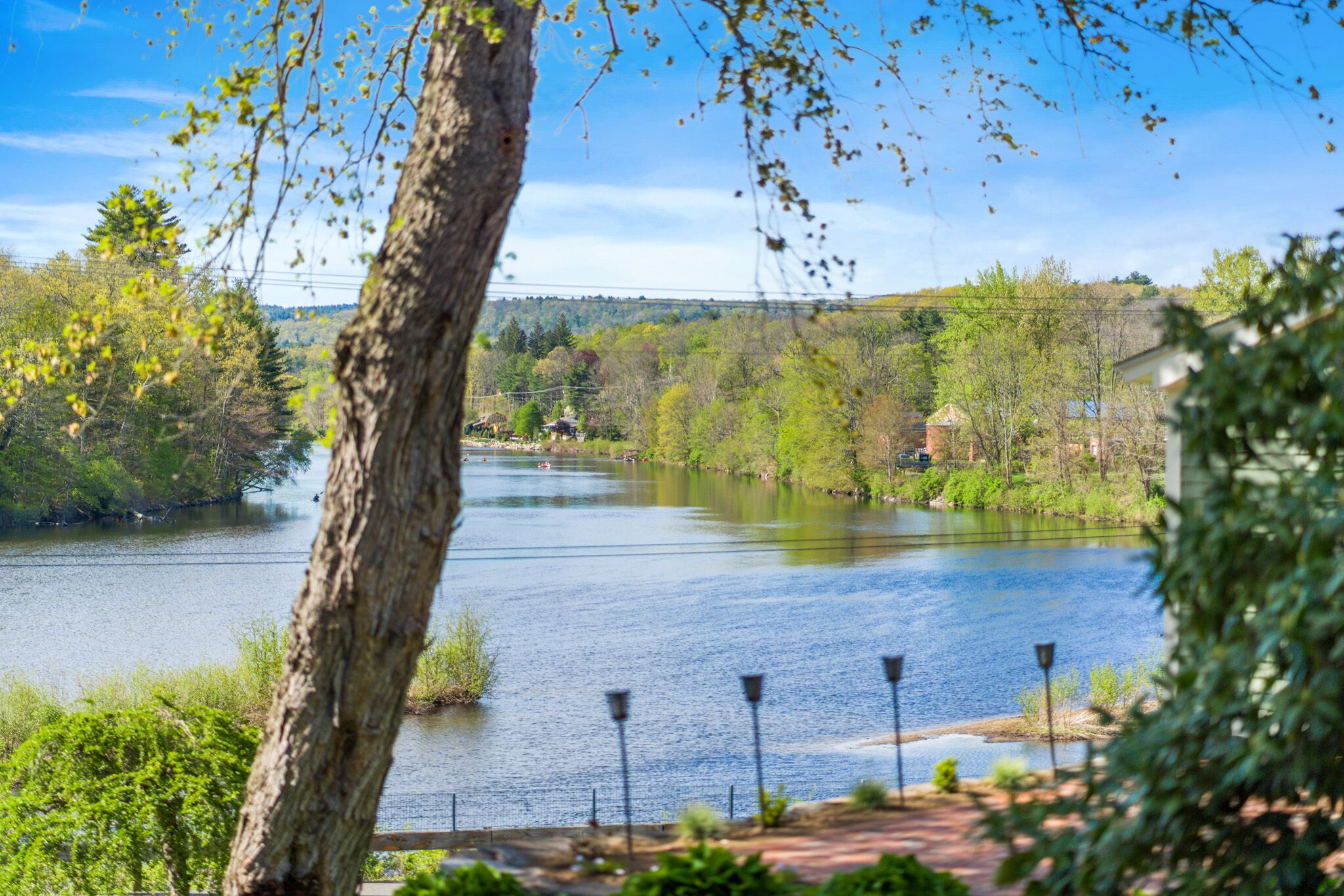 A river with a bridge in the background, surrounded by greenery and trees.