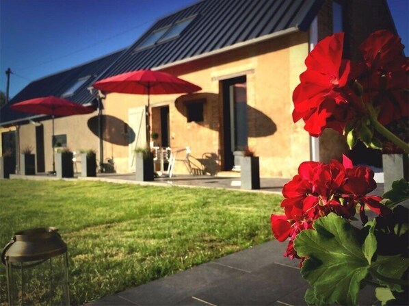 A building with a modern design, featuring a flat roof and large windows. There are red umbrellas and a lantern on the lawn, and red flowers in the foreground.