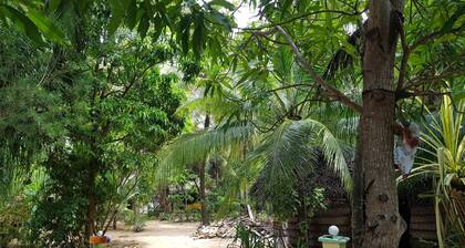 Star Hotel Arugambay