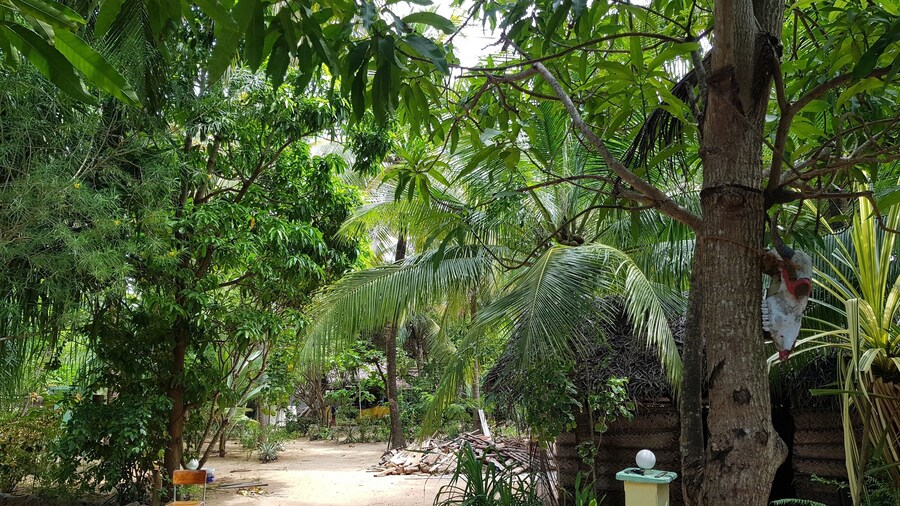 Star Hotel Arugambay