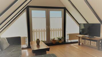 TV, fireplace, books